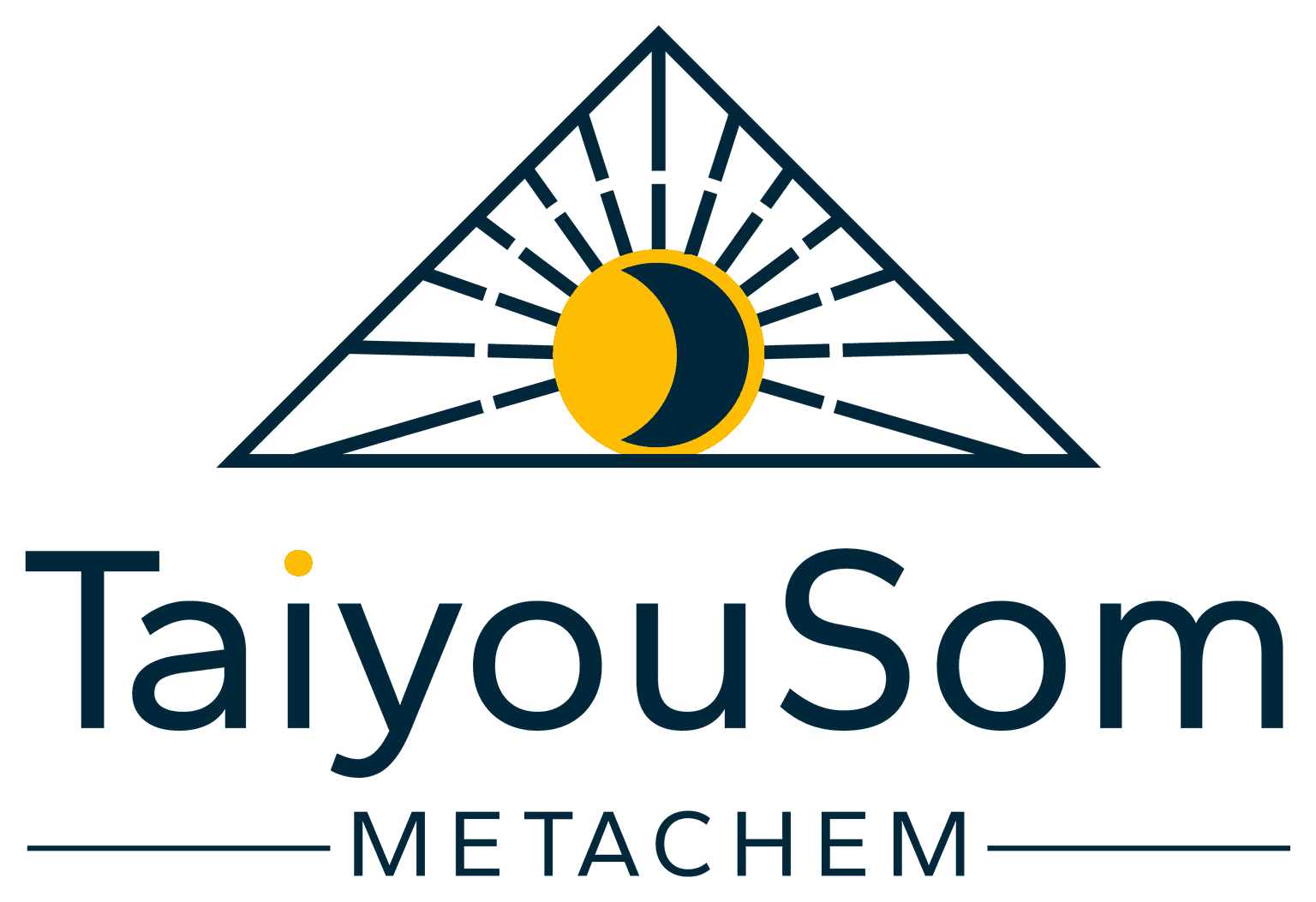 TaiyouSom Metachem