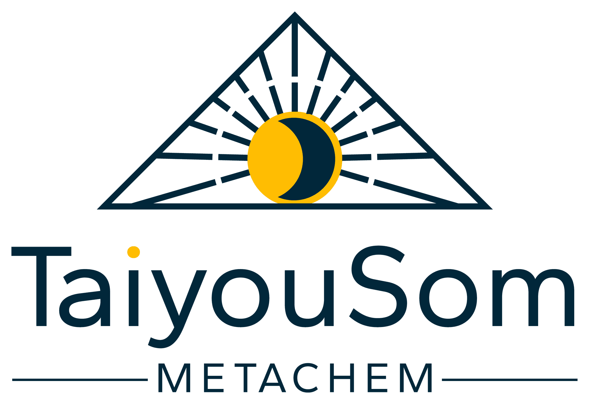 TaiyouSom Metachem logo