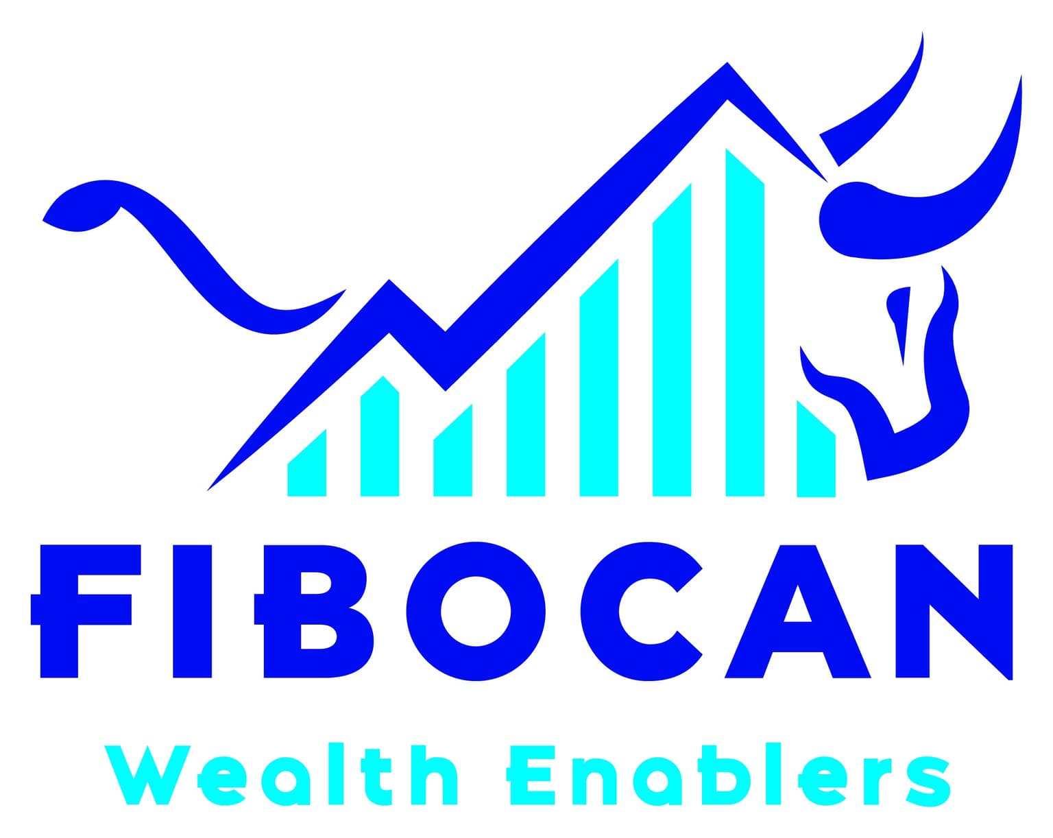 Fibocan